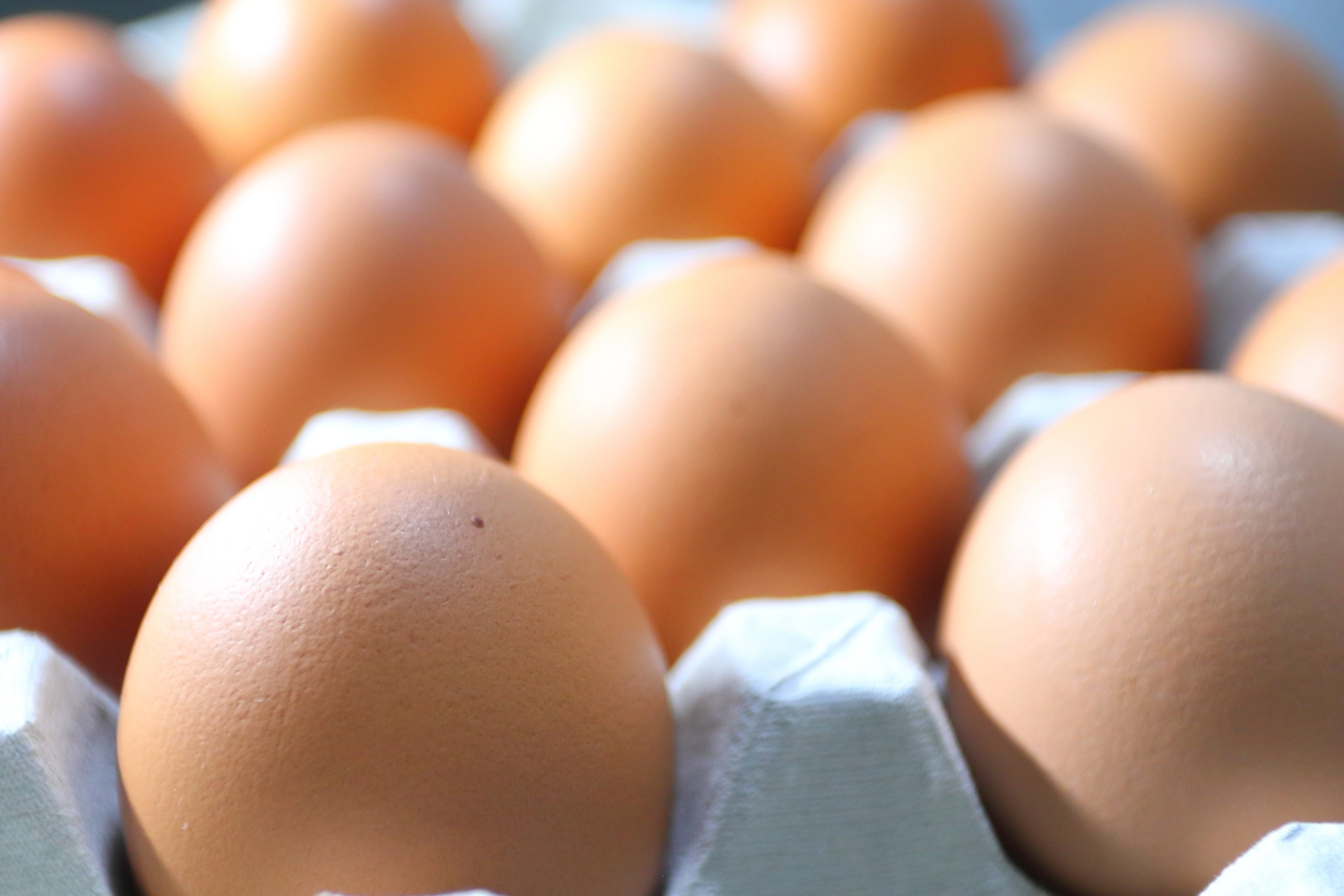卵の安全な食べ方と賞味期限