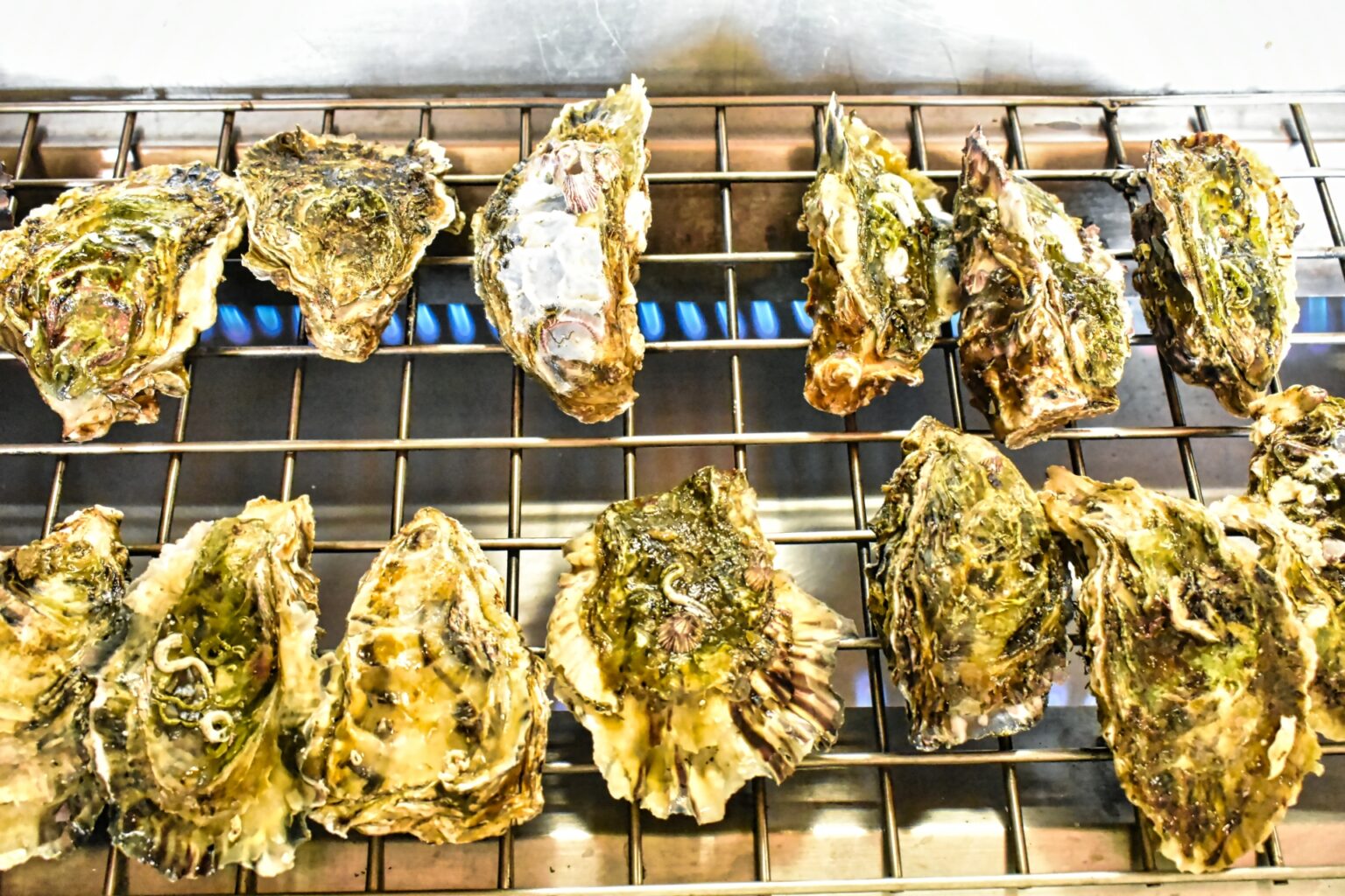 牡蠣にあたると症状は軽い？ 当たりやすい人の原因と対処法とは？ はるしお