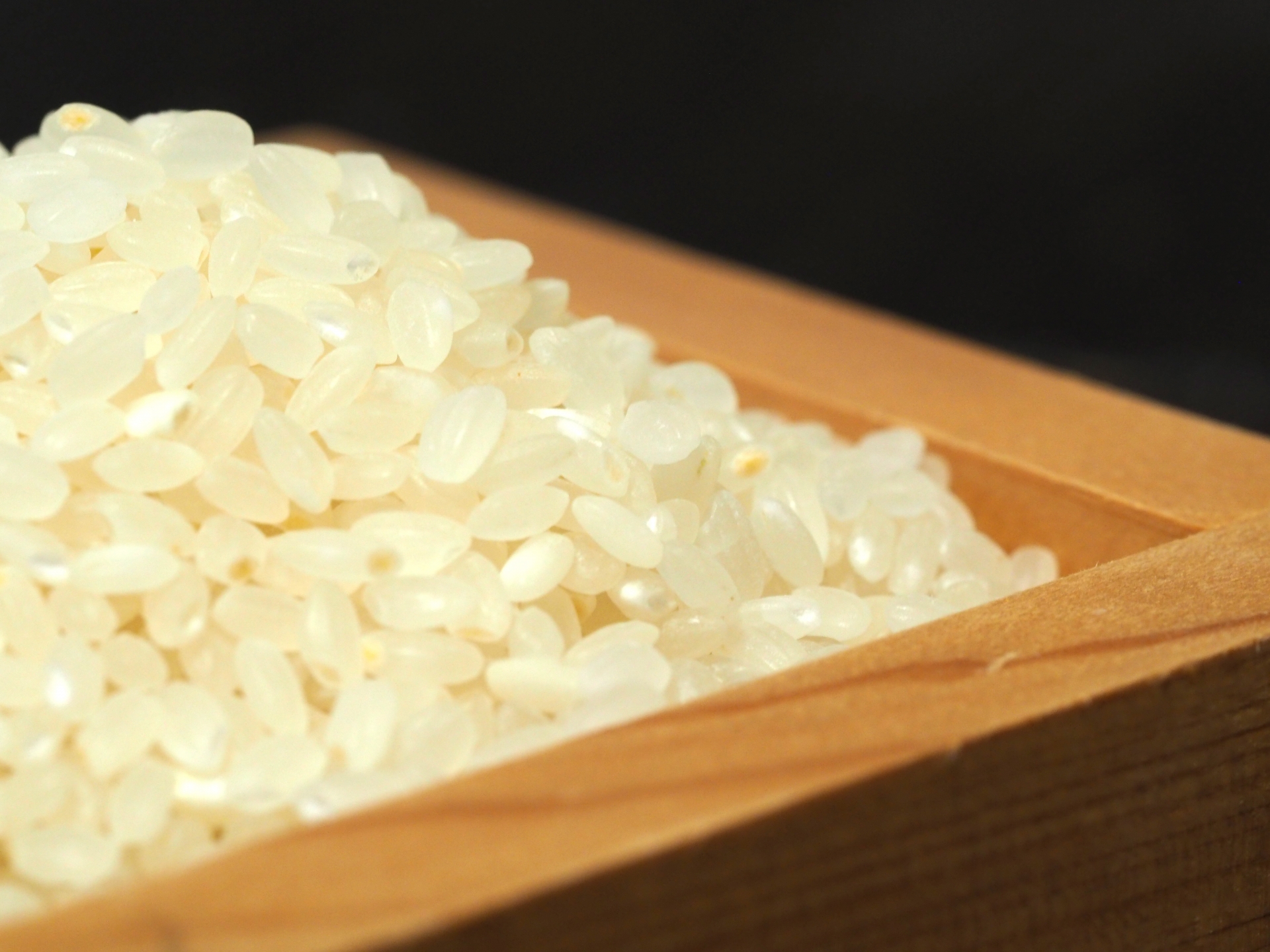 炊き込みご飯でのもち米と白米の最適な割合