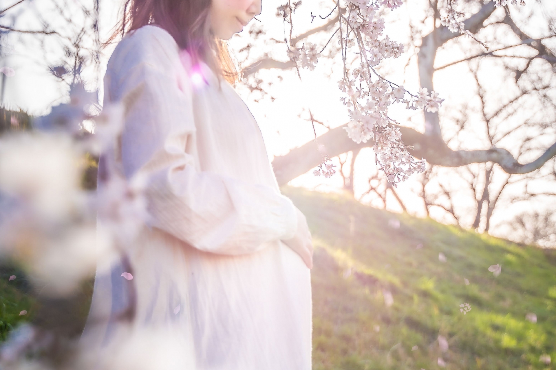 妊娠中のシナモン摂取についての専門家の見解
